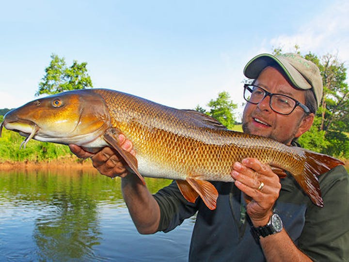 40 OF THE BEST RIVER FISHING TIPS | Angling Times